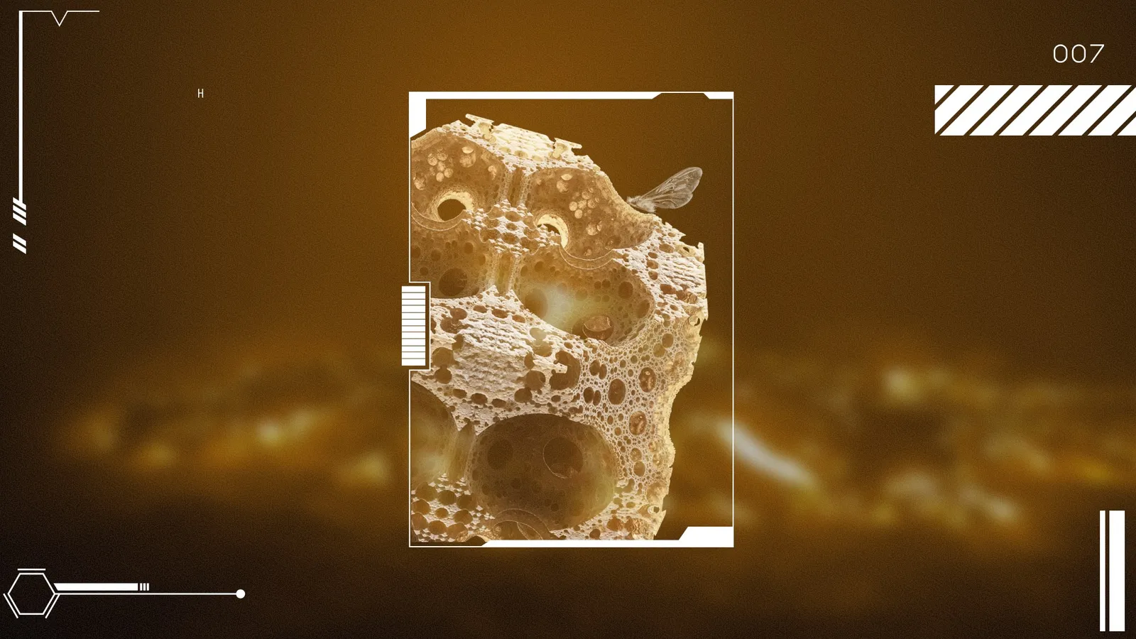 Interface screen 5
