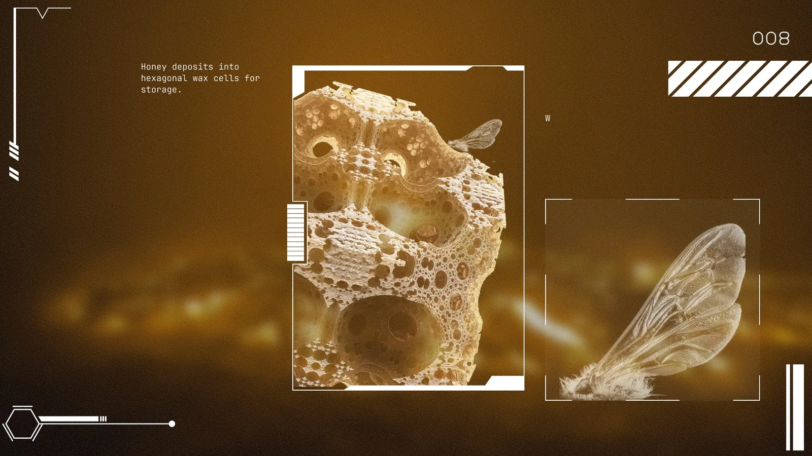 Interface screen 6