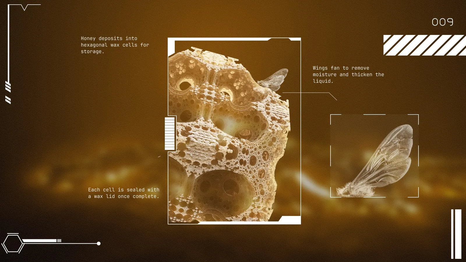 Interface screen 7