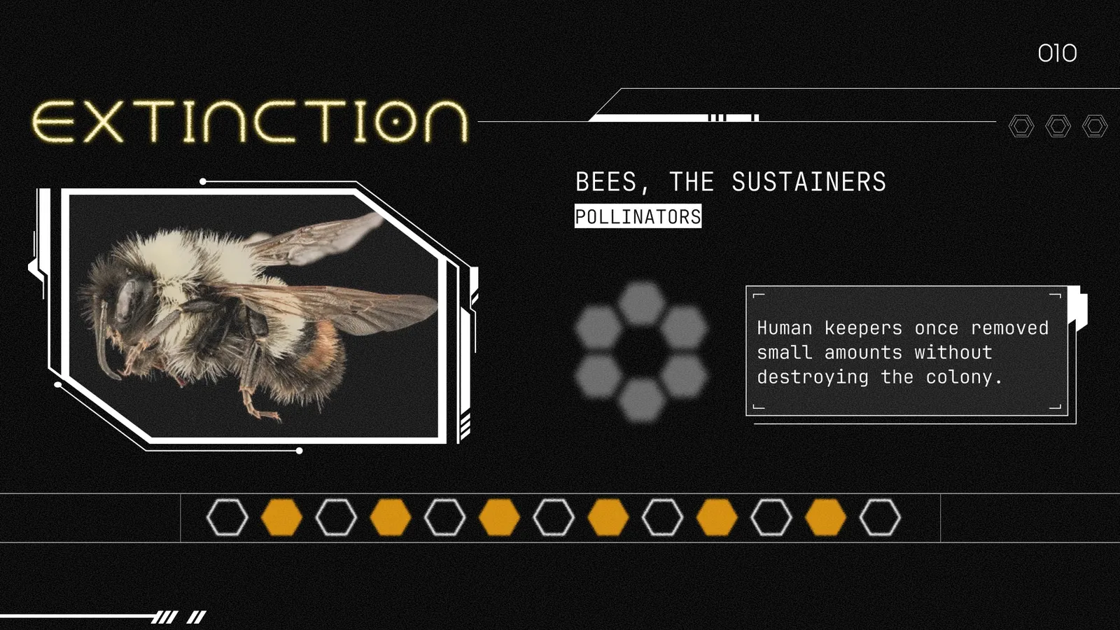 Interface screen 11